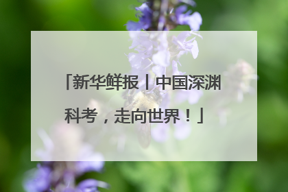 新华鲜报丨中国深渊科考，走向世界！
